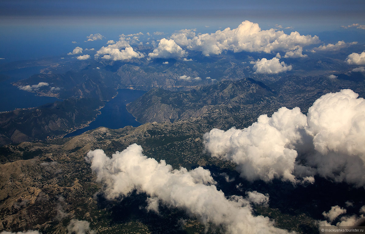 Kotor